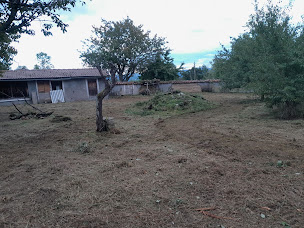 Photo n°5 de Chebance Bertrand à Saint-Jean-des-Ollières (Service d'entretien de pelouse)