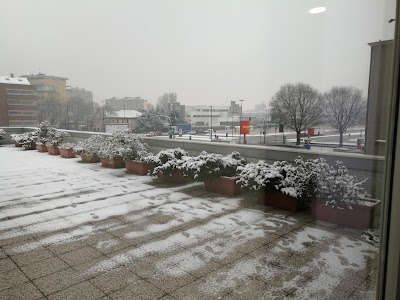 Photos of Hotel Master Torino