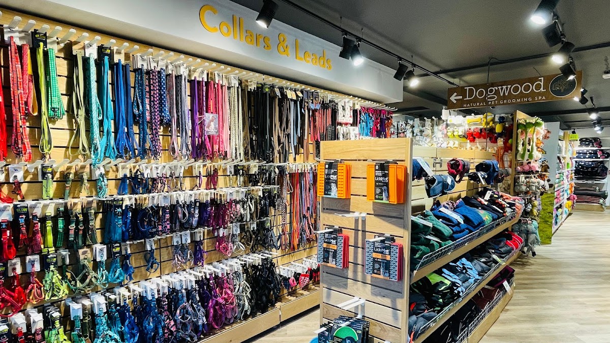 Pets Corner Guildford, Your Best Reviewed Local Pet Shop