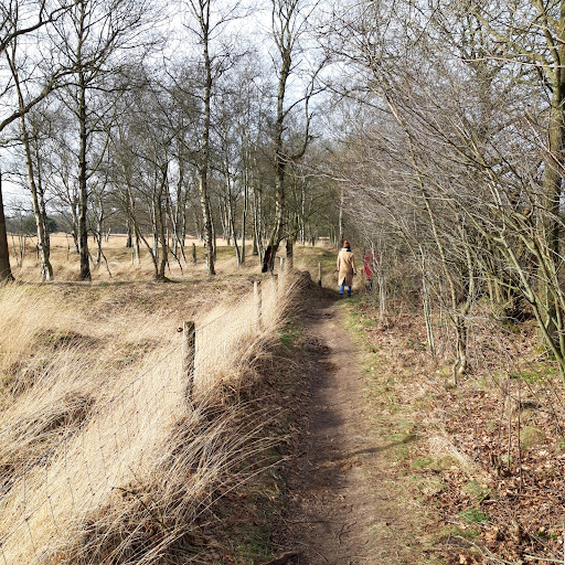 Parkeerplaats Gasterse Duinen