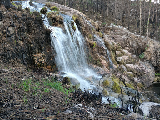 Fervenza Fridauga