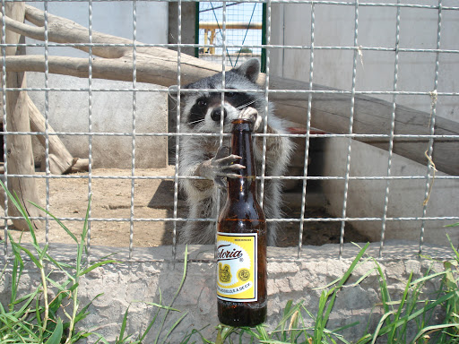 Clínica Veterinaria Zoovet MX