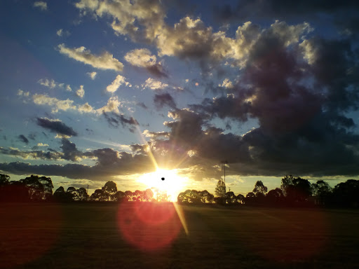 Bowthorne Park Cricket Ground - Thumbnail