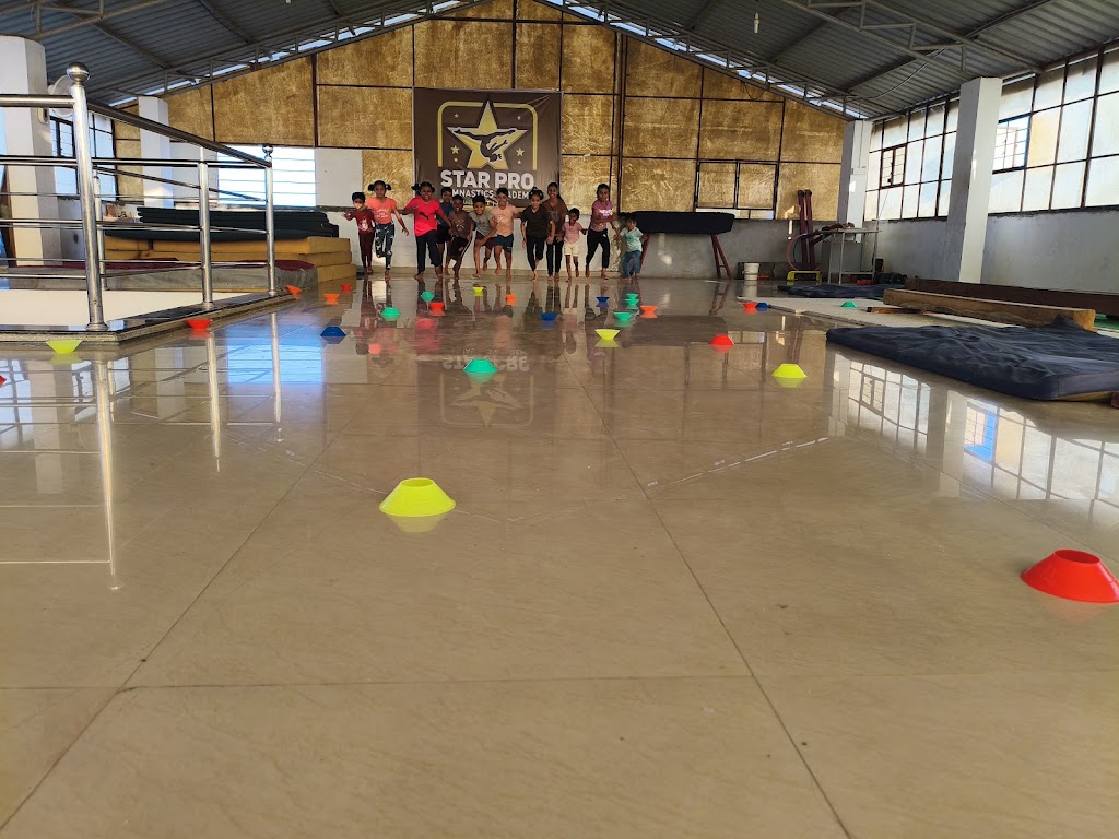 Star Pro Gymnastics Academy