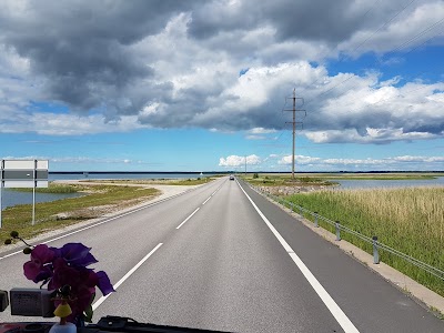 Photos of V&auml;ikese v&auml;ina tamm