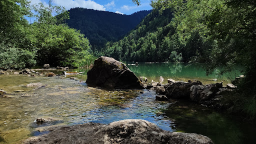 Lac de vallon Gallery - France