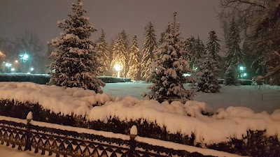 Photos of Kunayev park