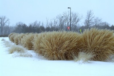 376 - Becker Drive Stop #2 (formerly Park & Ride)