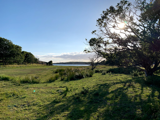 Skallahamn - Visual