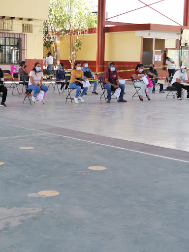 Escuela Primaria Pascual M. Hernández - Thumbnail