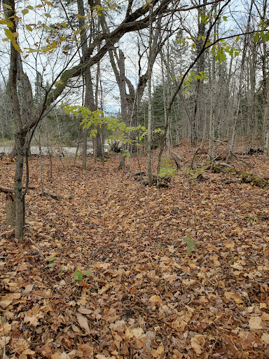 Wishart Park - Thumbnail