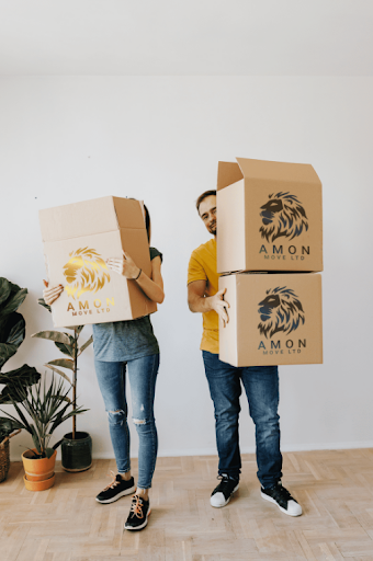 Amonmove Ltd - Visual