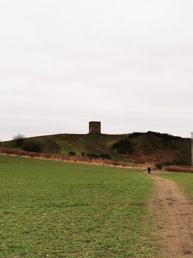 Billinge Beacon - Visual