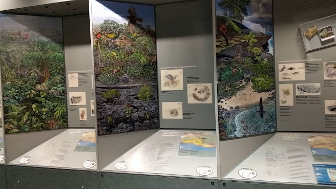 Kīlauea Visitor Center by null