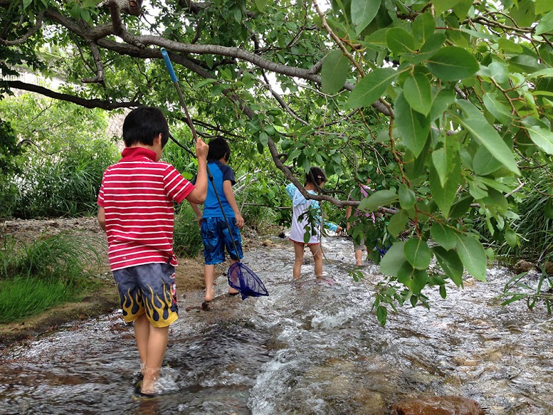 ラーンネット・グローバルスクール