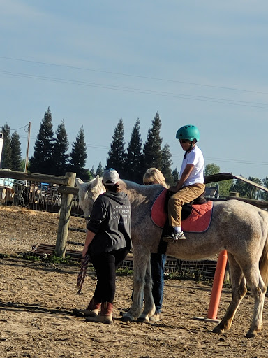 SpiritHorse Connections