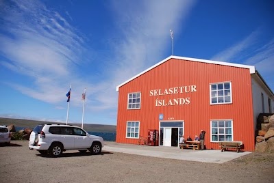 Photos of Icelandic Seal Center