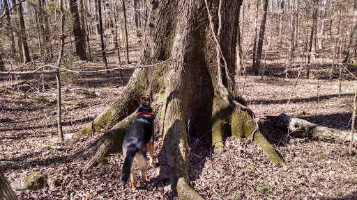 Lynch's Woods Park Gallery - United States