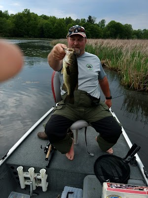 Chippewa Bay - Image 3