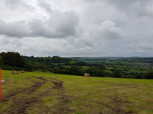 Buckham Fair - Visual