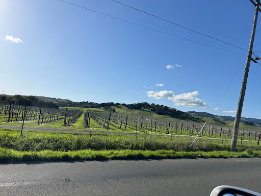 Petaluma Blvd & Corona Rd - Thumbnail