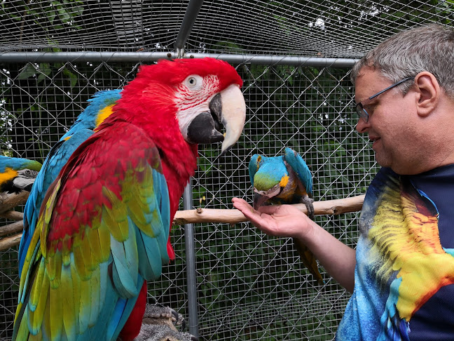 Papegøje Hotellet - Næstved