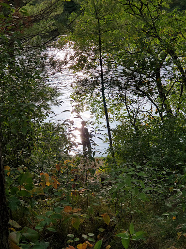 AuSable River Camping - Site 001D (Alcona Pond) - Thumbnail