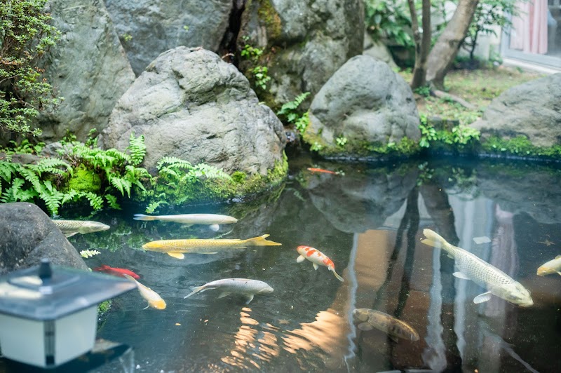 特別養護老人ホーム樋谷荘/通所介護事業所「樋谷荘」