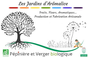 Photo n°7 de Pépinière RAINBOW à Puyravault (Pépinière)