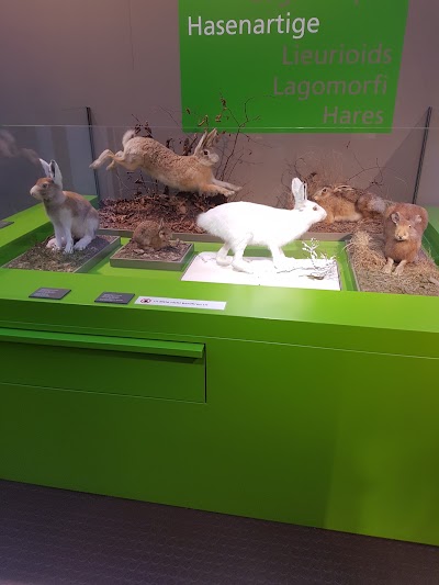 Photos of B&uuml;ndner Naturmuseum