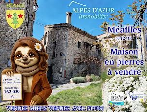 Photo n°18 de Alpes D'azur Immobilier SARL à Belvédère (Agence immobilière)