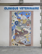 Clinique Vétérinaire de la Vallée (DR REMY et DR HESSE) à Munster