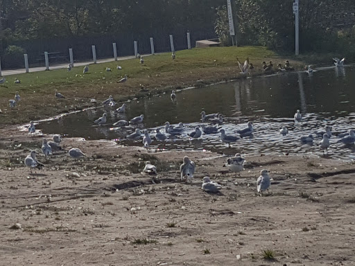 Parc Sandra - Visual