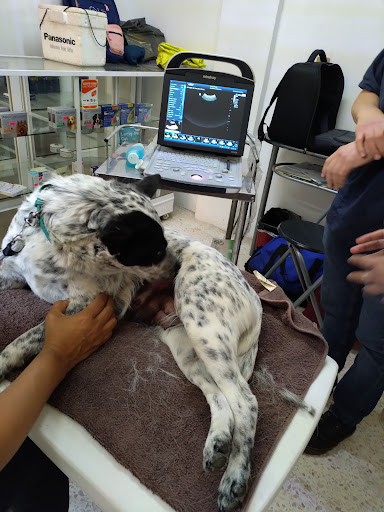Centro Veterinario Pequeñas Especies Tierra Adentro