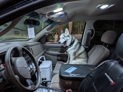 Clean Puppy Car Wash