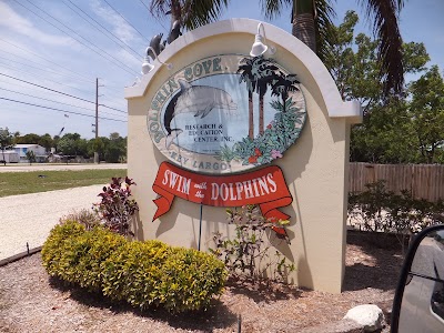Photos of Dolphins Plus Bayside
