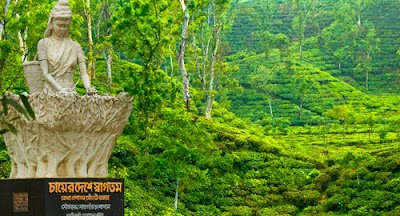 Photos of Sreemangal Tours and Operator