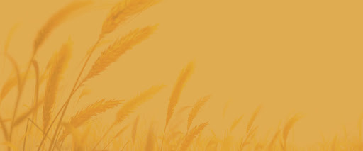 site_photo4