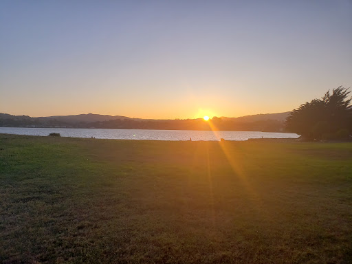Blackie's Pasture Gallery - United States