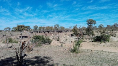 Photos of Timbavati Game Reserve