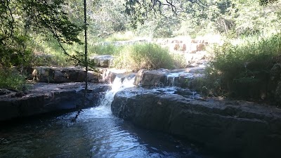 Photos of Nkutu Picnic Site, Krantzkloof Nature Reserve