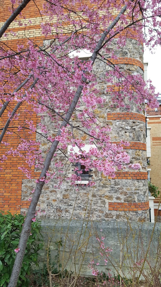Jardin Hector Malot