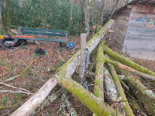 Photo n°17 de dg.arbreetjardin à Champsac (Service d'élagage)