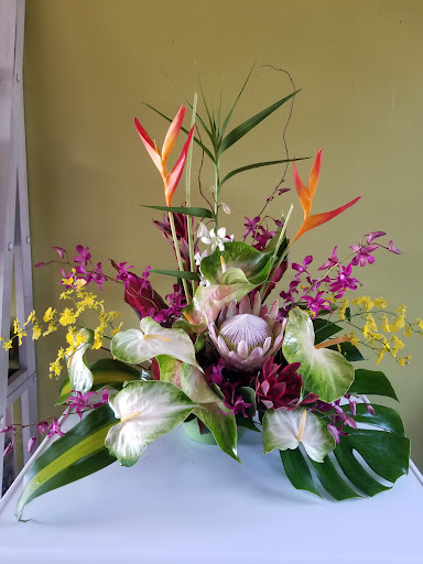 Qina Girl Floral & Ma’s Kava Shop - Thumbnail