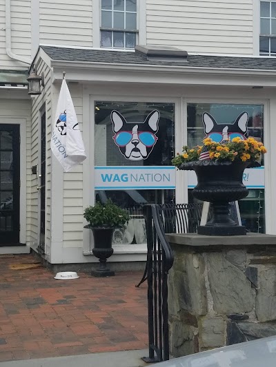 Wag Nation