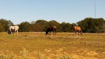 Shelby Farms P2 Uplands Parking Lot