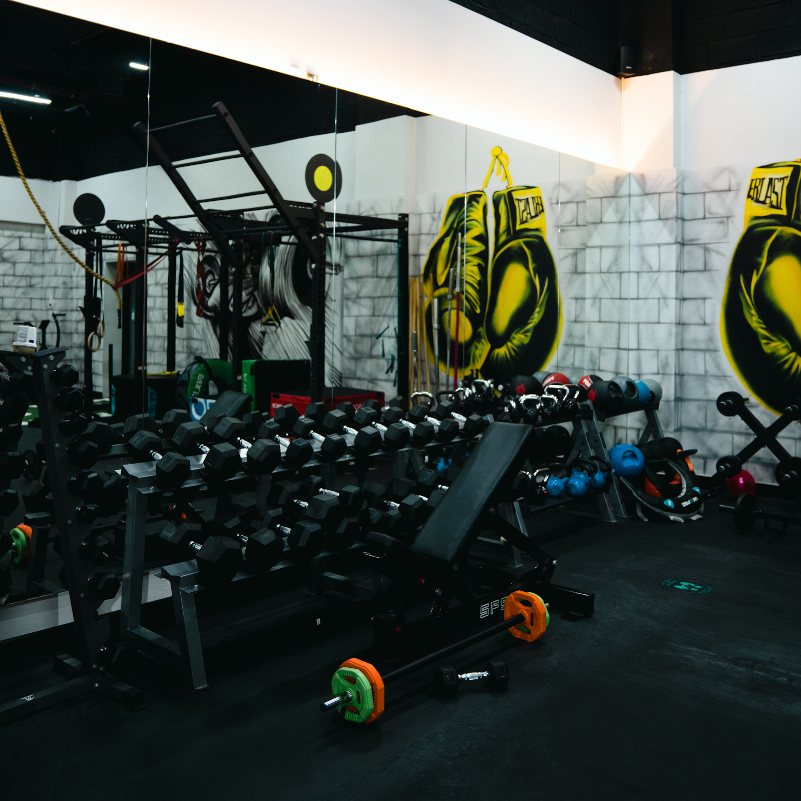 Virago Ladies Fitness - صورة 2