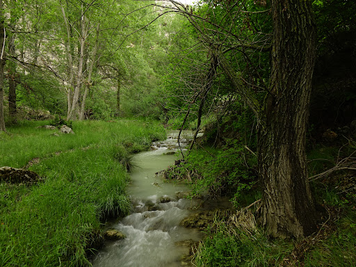 Paseo fluvial Río Guadalope - Thumbnail