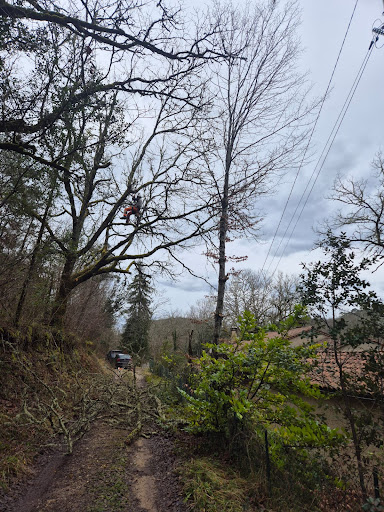 Photo de Entreprise de couverture: Artisan couvreur Steimbach à Proissans (24200)