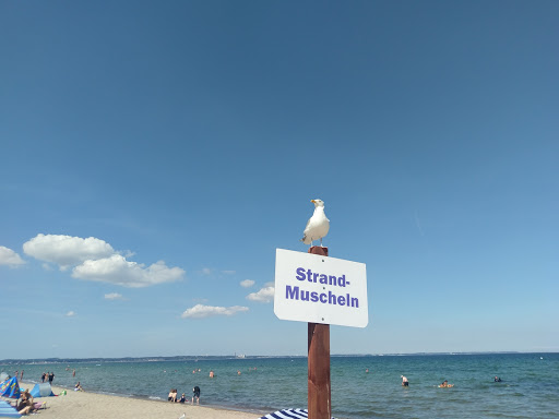 FKK-Strand Scharbeutz - Thumbnail